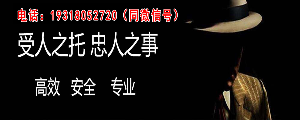 林甸调查事务所